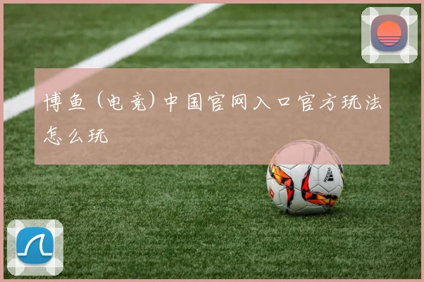 博鱼 (电竞)中国官网入口官方玩法怎么玩
