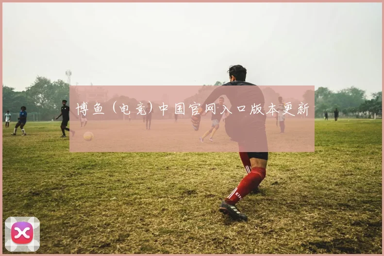 博鱼 (电竞)中国官网入口版本更新