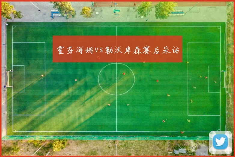 霍芬海姆vs勒沃库森赛后采访