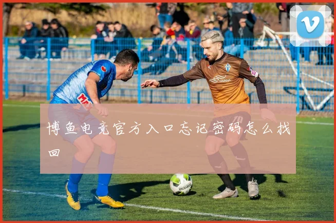 博鱼电竞官方入口忘记密码怎么找回